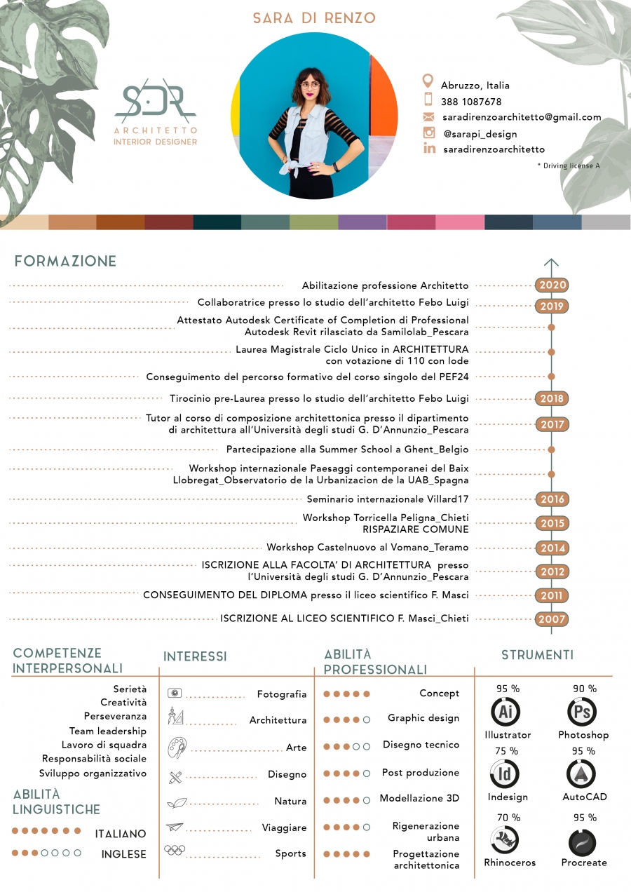 Curriculum Vitae
